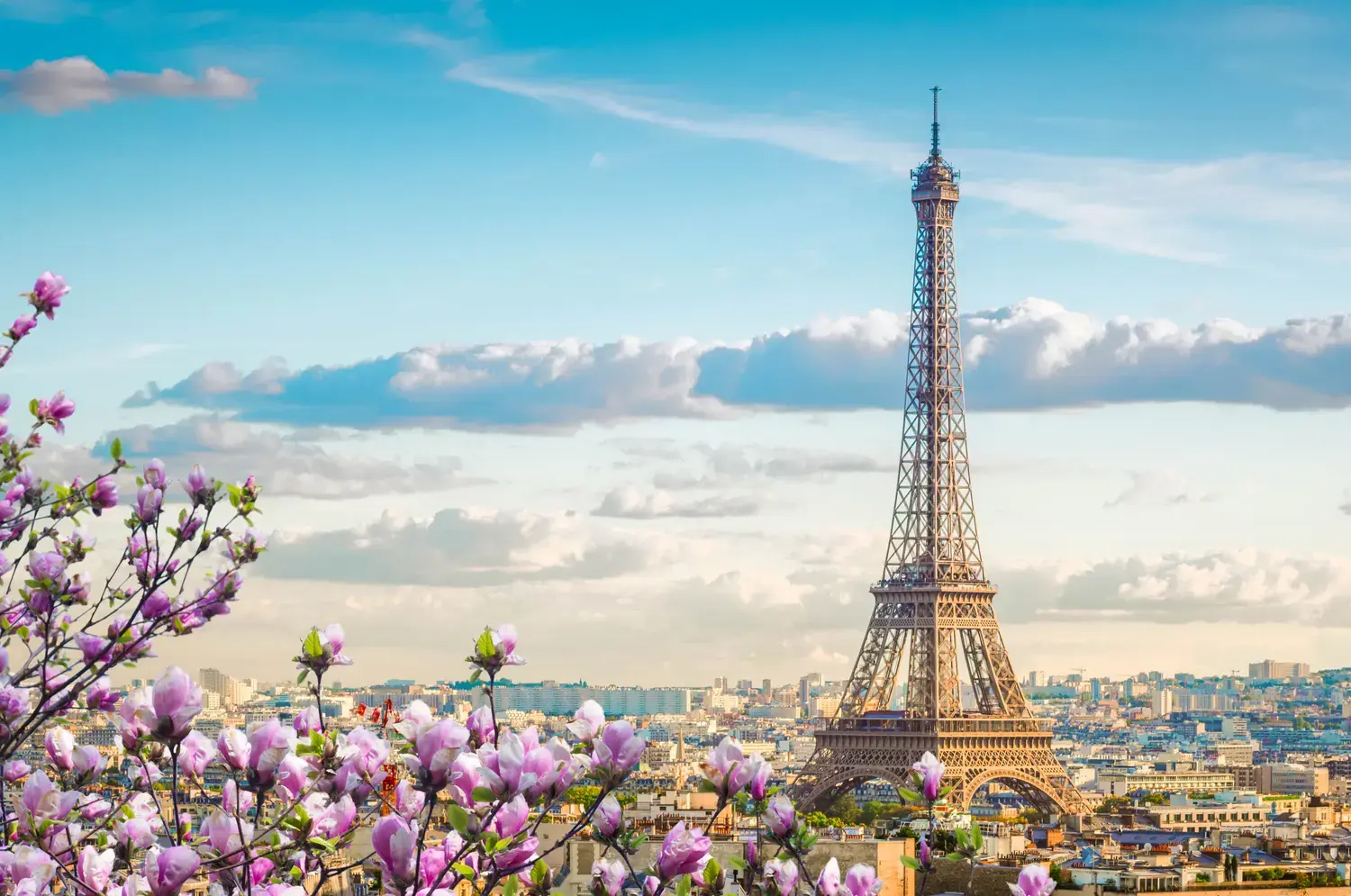 The Eiffel Tower and the Paris skyline