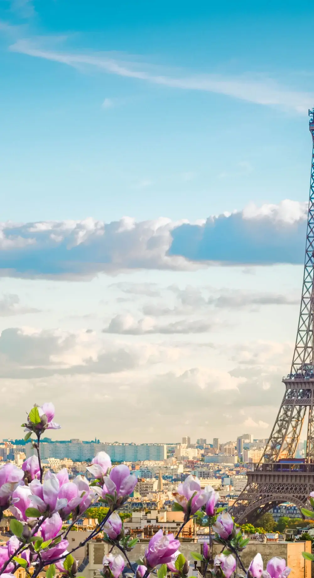The Eiffel Tower above the Paris skyline